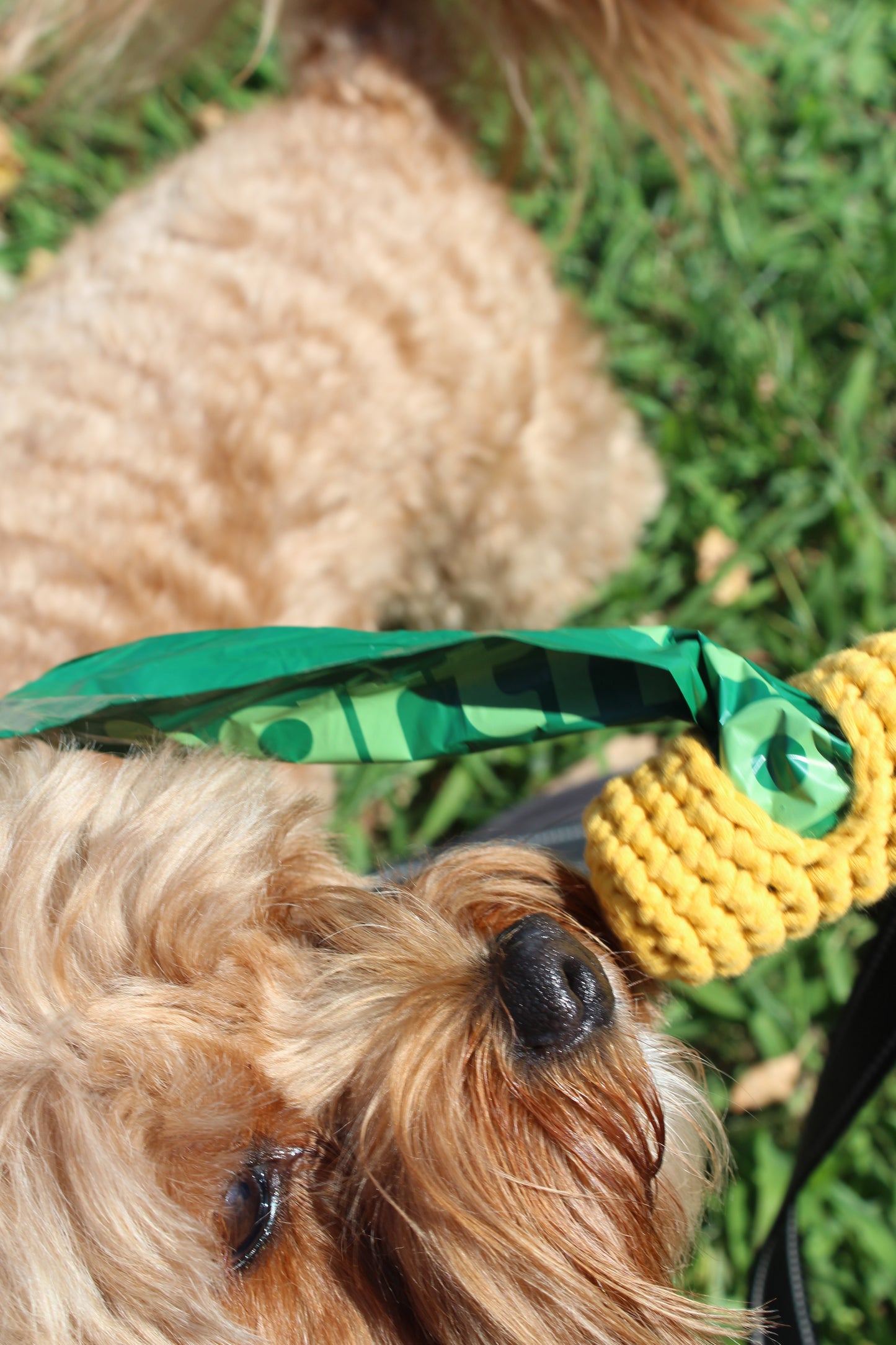 Crochet Poop Bag Holder