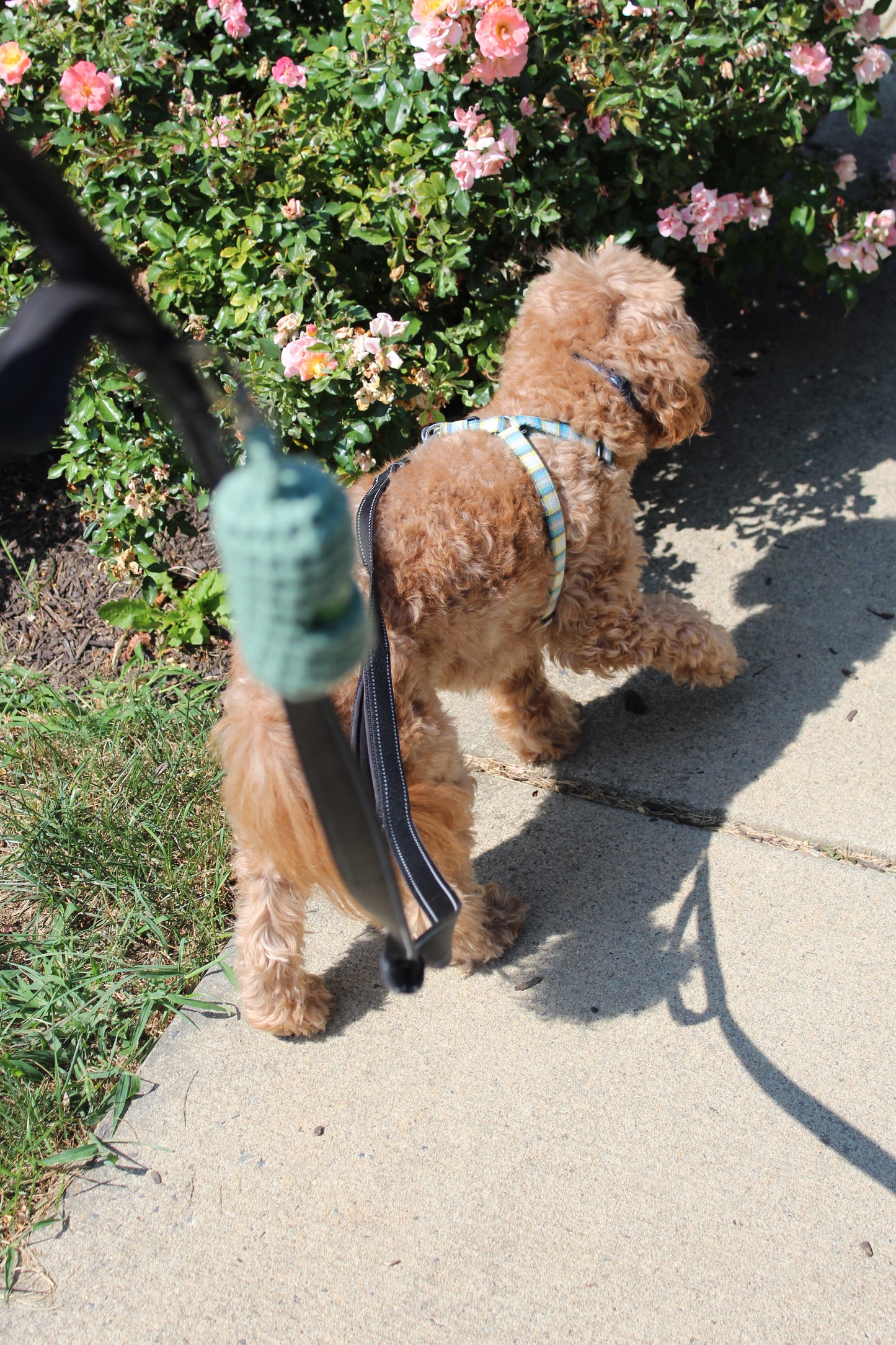 Crochet Poop Bag Holder